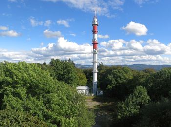 Randonnée A pied Bensheim - Rundwanderweg Bensheim Not-Gottes-Kapelle 6: Melibokus-Weg - Photo