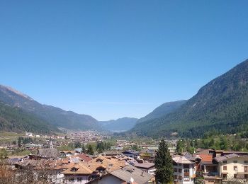 Tour Zu Fuß Cles - Sentiero della Val dei cavai - Photo