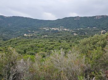 Tour Wandern Calcatoggio - La Liscia (petite boucle) - Photo