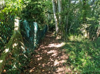 Tour Wandern Villiers-sur-Loir - Randonnée à Villiers-sur-Loir  - Photo