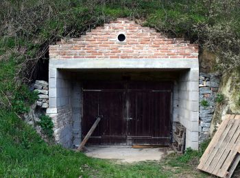 Percorso A piedi Gemeinde Melk - Schallaburgweg - Photo