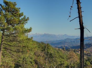 Tour Zu Fuß Carrodano - Case Arsina - Carrodano Superiore - Casa Fogona - Mattarana - Monte Gruzze - Photo