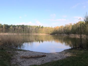 Tour Zu Fuß Teupitz - Schweriner Rundwanderweg - Photo