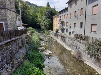 Percorso A piedi Bedonia - Anzola - Spora - Passo della Tabella - Monte Crociato - Photo