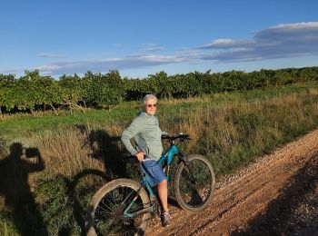 Excursión Bici de montaña Garrigues-Sainte-Eulalie - Ste Eulalie  St Capte - Photo