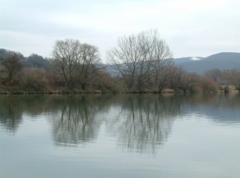 Excursión A pie okres Trenčín - IVV2 - JIRKOV CHODNÍK (dôchodcovská trasa) - Photo