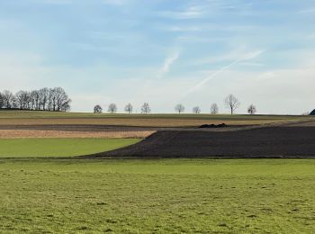 Tour Wandern Löwen - S-GR Hageland : Leuven - Vertrijk - Photo