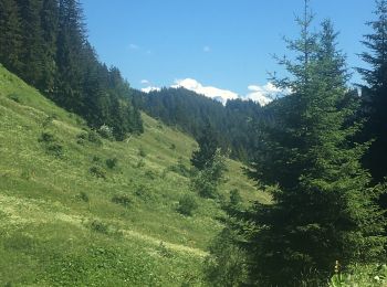 Randonnée Marche Taninges - Promenade de la cascade - Photo