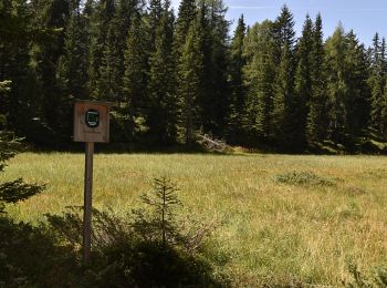 Tocht Te voet Rodeneck - Rodengo - Wanderweg 2A - Lüsen - Photo