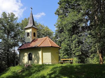 Excursión A pie Gemeinde Groß Gerungs - Kotting Nondorf-Wanderweg 39 - Photo