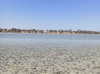 Tour Wandern  - l'île aux oiseaux par temps de lagune très basse - Photo