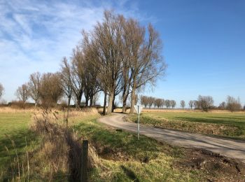 Tocht Stappen Steenbergen - Nieuw Vossemeer, langs de Eendracht - Photo