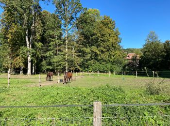 Randonnée Marche Saint-Arnoult-en-Yvelines - St Arnault - Sonchamp - Photo