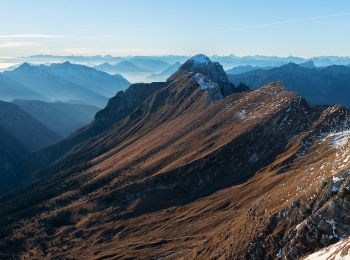Trail On foot Tarvisio - IT-625 - Photo