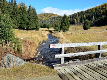 Tocht Te voet Albeck - Gurkgraben - Photo