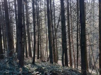 Tocht Stappen Challes-les-Eaux - bois noir-chambotte-néquidé - Photo