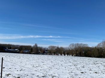 Tour Wandern Enghien - Enghien Brugelette par GR123 (Hove) - Photo