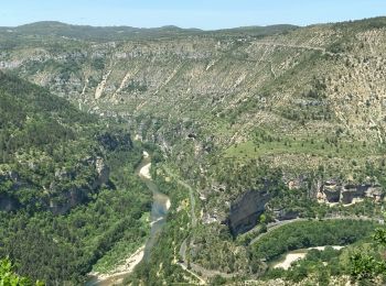 Tocht Noords wandelen Gorges du Tarn Causses - Sainte-Enimie - L'ermitage - Photo