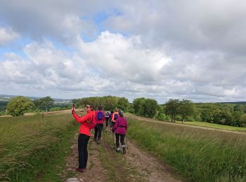 Trail Nordic walking Bussière-Dunoise - m'as saint jean - Photo