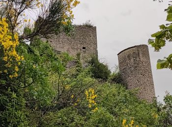 Randonnée Marche La Roche-sur-le-Buis - 240608 - Roche sur Buis  - Photo