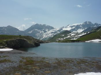 Trail On foot Pfäfers - Sardonahütte-Heubützlipass - Photo