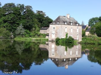 Randonnée Marche Baulon - Baulon Maxent étang de la Musse - Photo