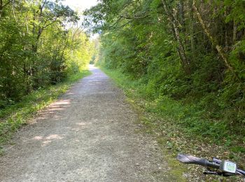 Tocht Mountainbike Vabres-l'Abbaye - St jean D’acapies - Photo