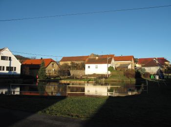 Tour Zu Fuß Ober Kamenzen - [Ž] Holubí hlava - Hráz - Photo