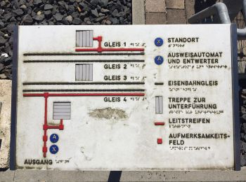 Tocht Te voet Baunatal - Eco-Pfad Guntershausen - Photo