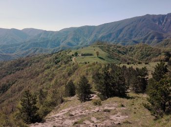 Randonnée A pied Santa Sofia - San Paolo in Alpe: altopiano tra cielo e foresta - Photo