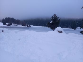 Tour Wandern Charix - lac genin - Photo