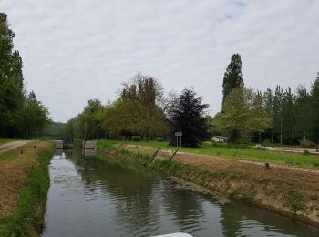 Excursión Senderismo Marolles - Marolles du 25/05/2019 - Photo