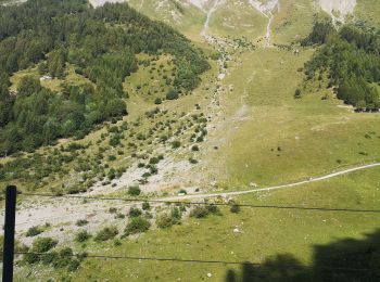 Randonnée Marche Ayent - Bitailla  - Photo