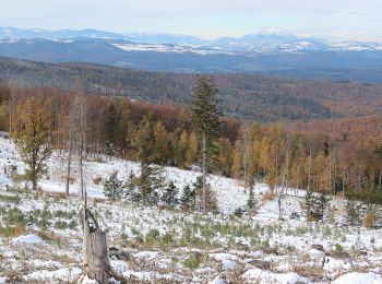 Tour Zu Fuß Güns - K3 - Photo