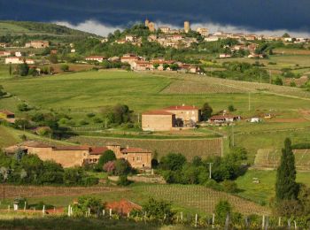 Tour Wandern Val d'Oingt - Saint-Laurent d'Oingt - Oingt, Plus beau Village de France - Photo