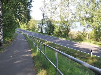 Percorso A piedi Joachimsthal - Wanderweg Joachimsthal - Gaststätte Spring - Photo