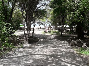 Tocht Stappen Sainte-Luce - L'Anse Pont Café-Bellevue Ladour en boucle  - Photo