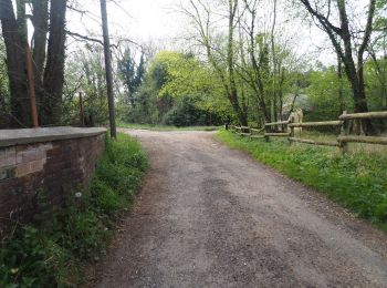 Randonnée A pied Breckland - Lynford Circular Walk - Photo