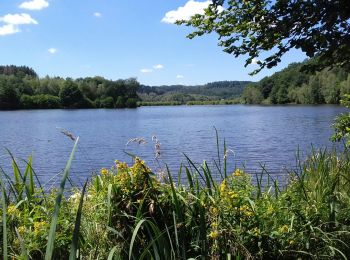 Trail Walking Champeau-en-Morvan - Tour du lac de Chamboux  - Photo