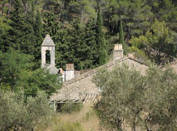 Excursión Senderismo Mouriès - PF-Mouriès - Chapelle de Pierredon - Photo