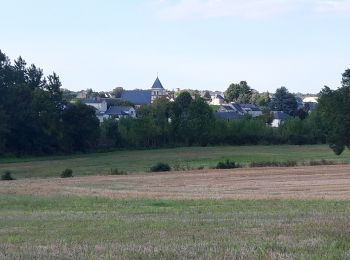 Randonnée Marche Les Ulmes - les ulmes vignes - Photo