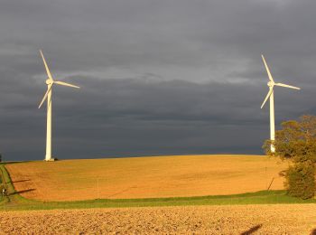 Excursión A pie Seeheim-Jugenheim - Ortsrundwanderweg Ober-Beerbach 1: Rund um die Neutscher Höhe - Photo