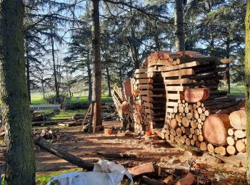 Excursión Senderismo Vénissieux - parilly le 25 nov 2020 - Photo