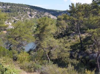 Excursión Senderismo Le Tholonet - le tholonet-barrage zola - Photo