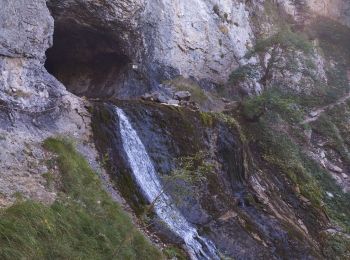 Trail Walking Saint-Pierre-de-Chartreuse - tour de la Dent de crolles par des sangles  - Photo