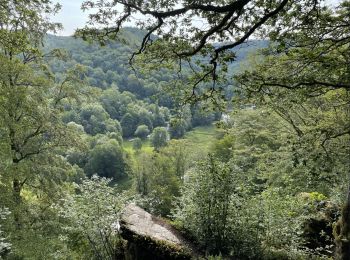 Trail Electric bike Bouillon - final bouillon 2023 jour 2 matin poupehan tombeau 1 - Photo
