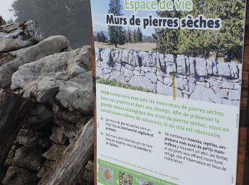 Trail Snowshoes L'Abbaye - Le Pont dent de Vaulion Suisse - Photo