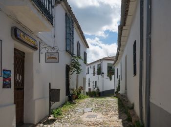 Percorso A piedi Aracena - Aracena - Linares de la Sierra - Photo