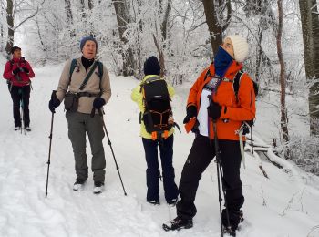 Tocht Stappen Seyssinet-Pariset - Plateau Charvet et cabane de Laura en circuit - Photo