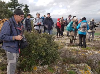 Trail Walking Capendu - Capendu / Alaric - Photo